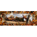 Ringneck Pheasant Tailgate 005